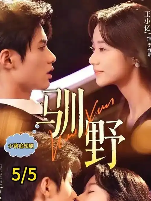 第七号码头 热播剧集在线观看